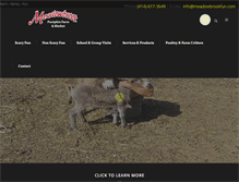 Tablet Screenshot of meadowbrookfun.com